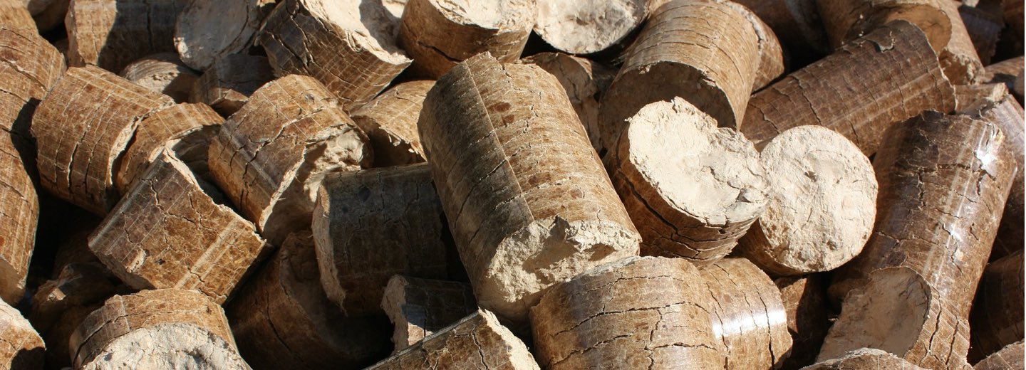 Pressemitteilung: Biomasse-Strategie ergebnisoffen gestalten!