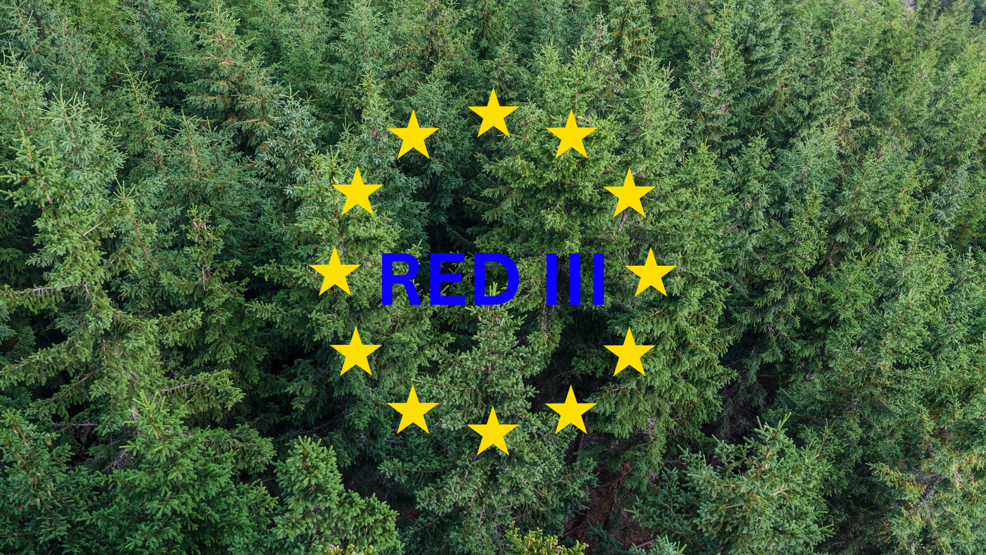 Pressemitteilung: „Das Forum begrüßt die erzielte politische Einigung zur RED III in Bezug auf die nachhaltige Nutzung von Holzenergie“